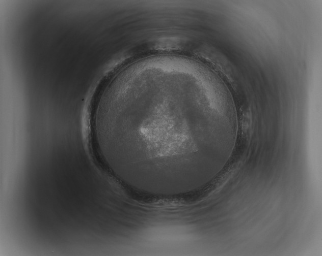 X0000102410727200808011607
