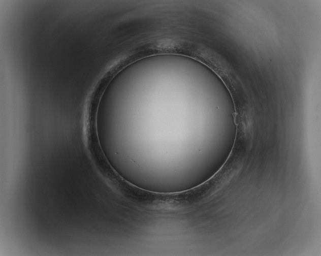X0000102410728200808011607