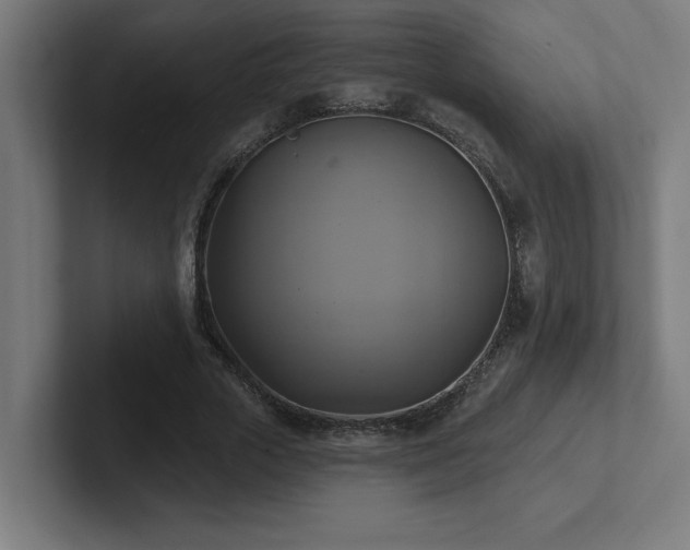 X0000102410729200808011607