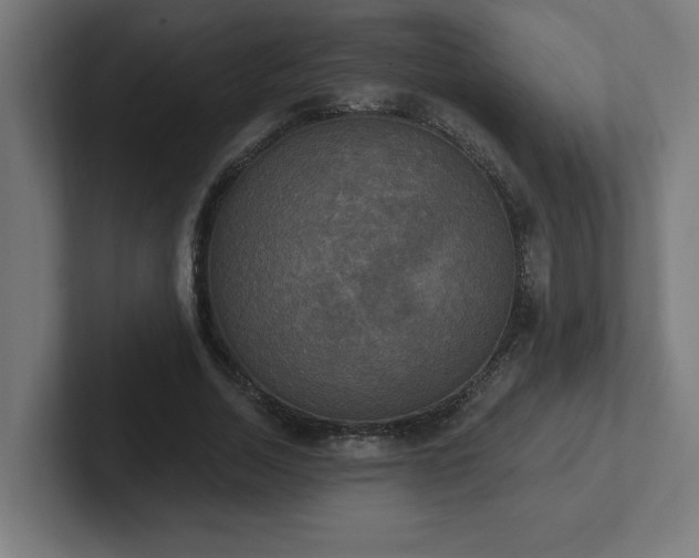X0000102410730200808011607