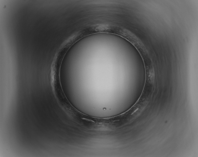 X0000102410732200808011607
