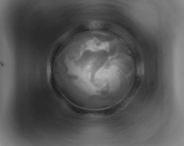 X0000102410733200808011607