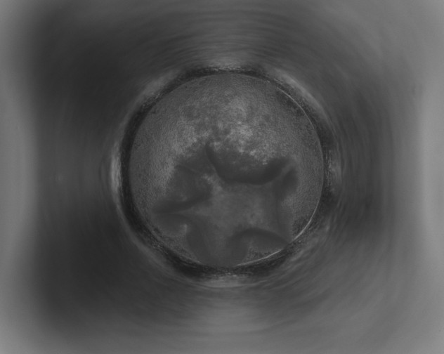 X0000102410734200808011607
