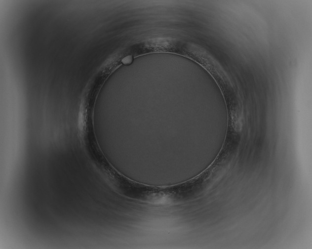 X0000102410735200808011607