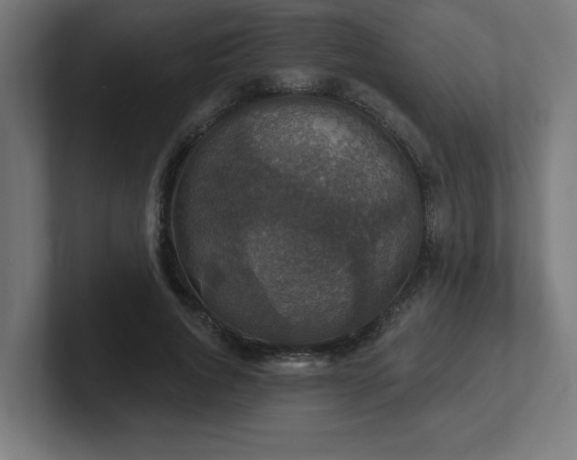 X0000102410736200808011607
