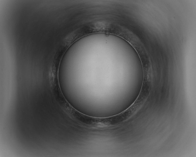 X0000102410737200808011607