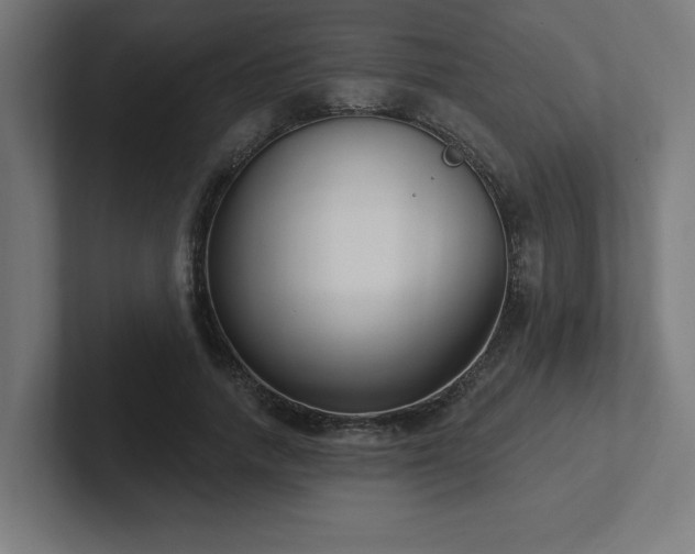 X0000102410738200808011607