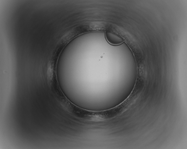 X0000102410741200808011607