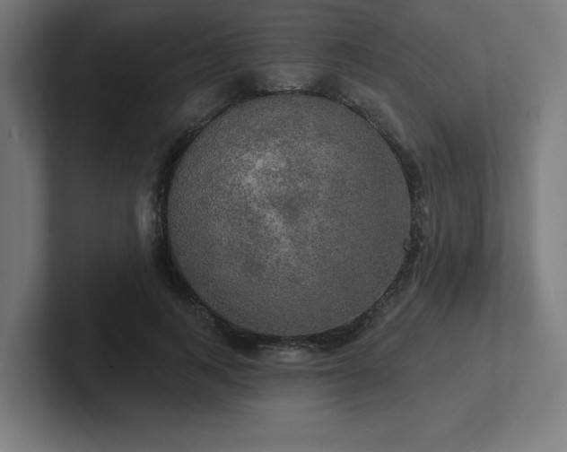 X0000102410743200808011607