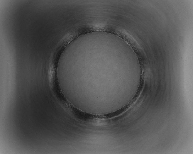 X0000102410744200808011607