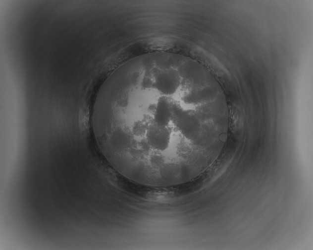 X0000102410745200808011607