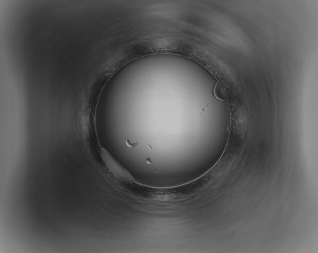 X0000102410746200808011607