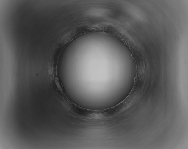 X0000102410749200808011607