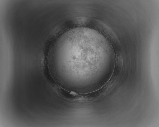 X0000102410750200808011607