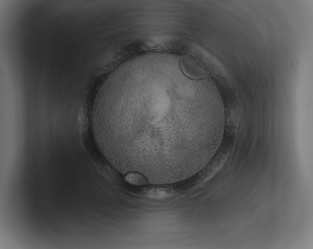 X0000102410751200808011607