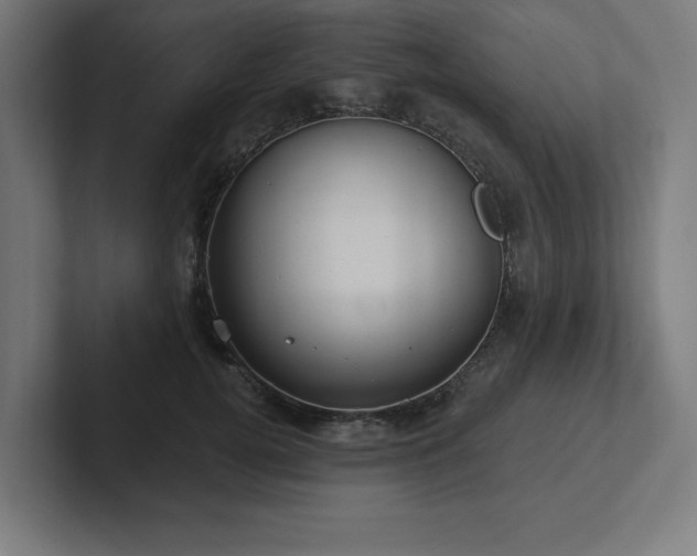 X0000102410752200808011607