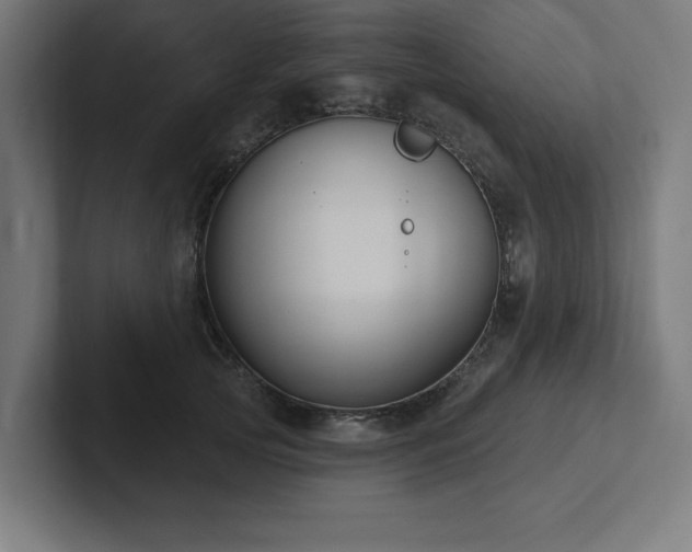 X0000102410753200808011607
