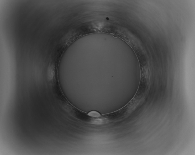 X0000102410754200808011607
