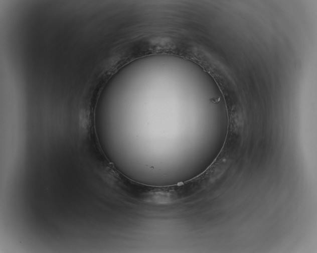 X0000102410756200808011607