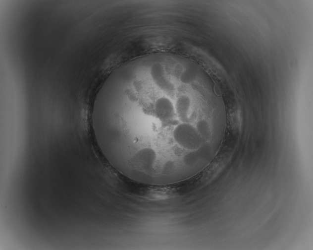 X0000102410757200808011607