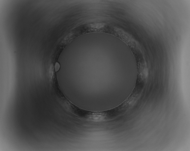 X0000102410758200808011607