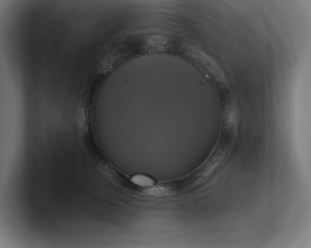 X0000102410759200808011607