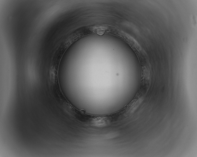 X0000102410761200808011607