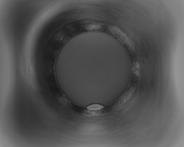X0000102410763200808011607