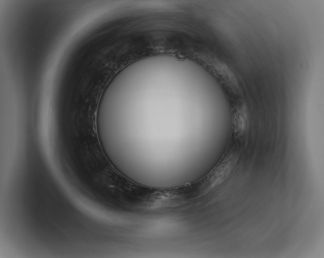 X0000102410764200808011607