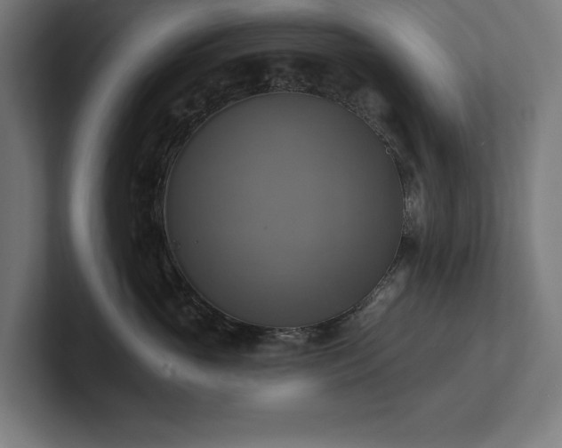 X0000102410765200808011607