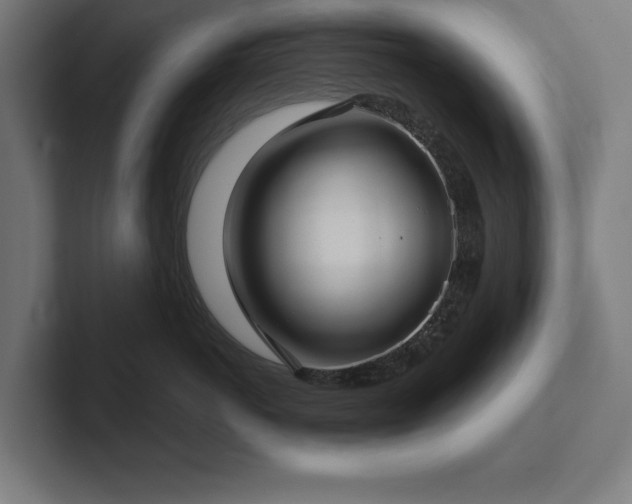 X0000102410766200808011607
