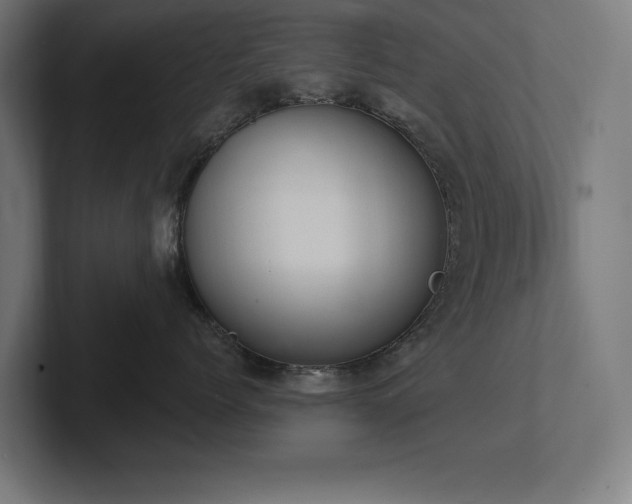 X0000102410768200808011607