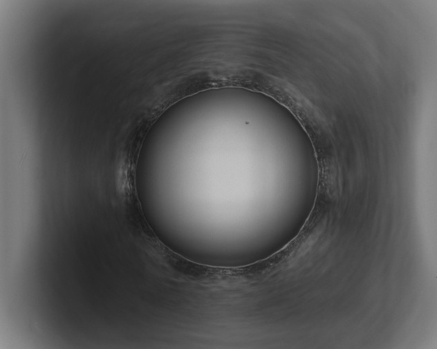 X0000102410770200808011607