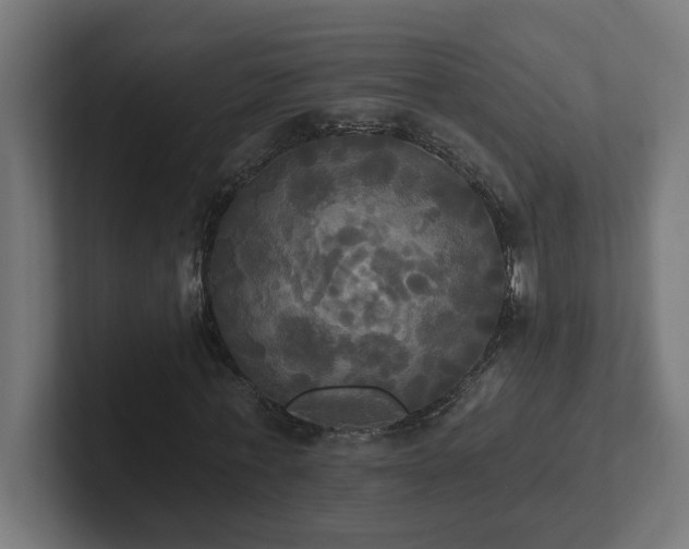 X0000102410771200808011607