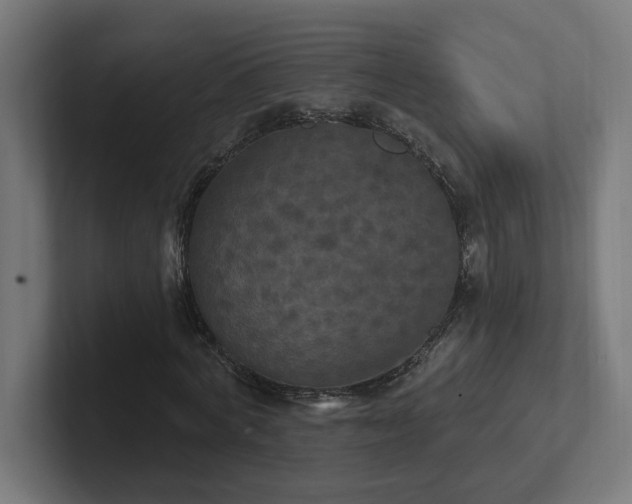 X0000102410772200808011607