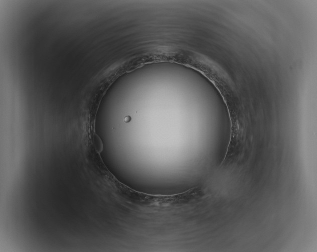 X0000102410773200808011607