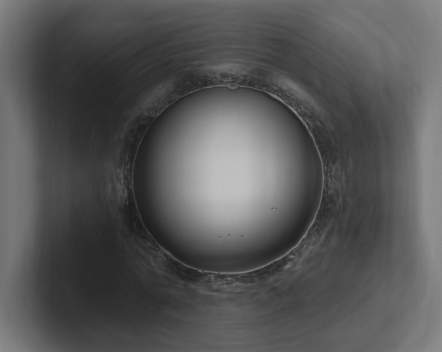 X0000102410774200808011607