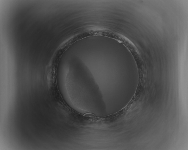 X0000102410775200808011607