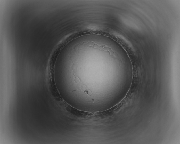 X0000102410776200808011607