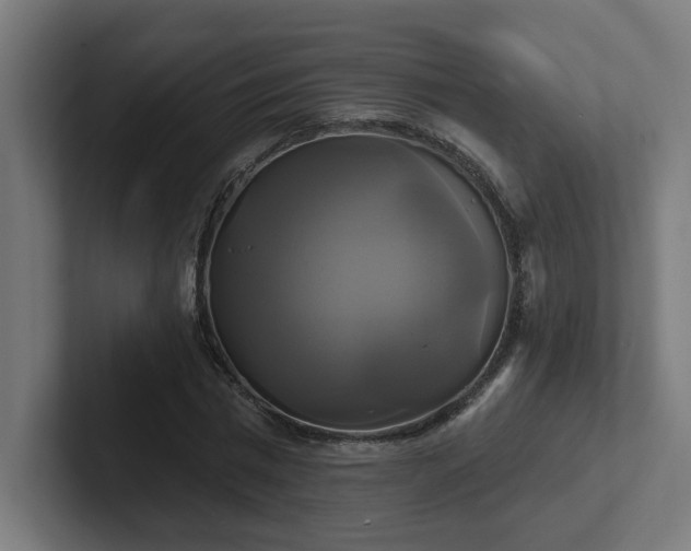 X0000102410777200808011607