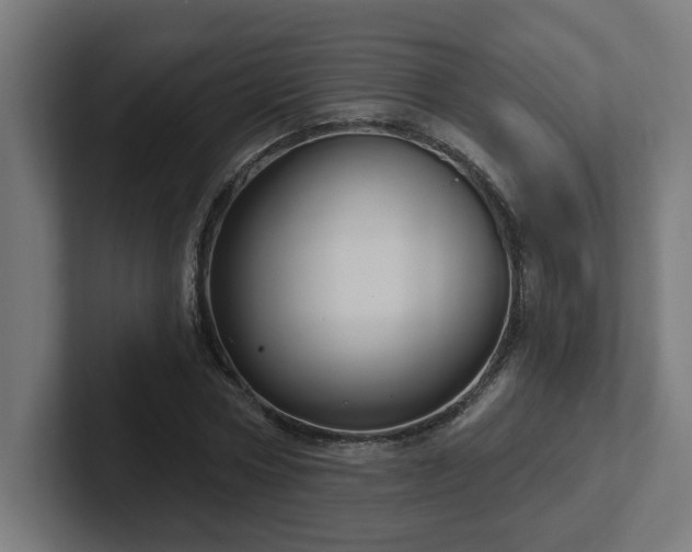 X0000102410778200808011606