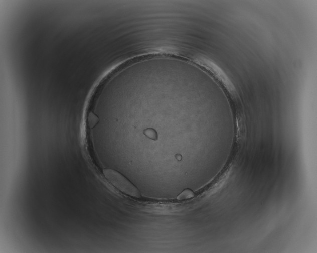 X0000102410780200808011606
