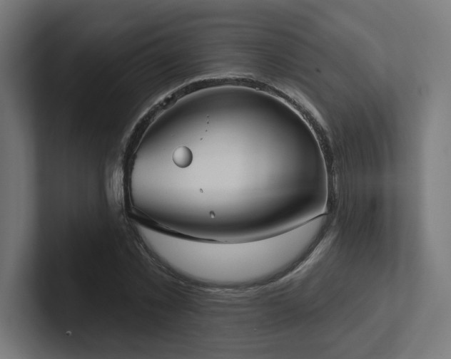 X0000102410781200808011606