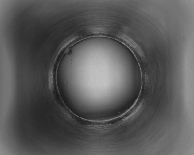 X0000102410782200808011606