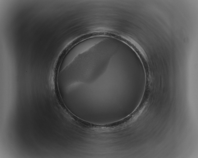 X0000102410783200808011606