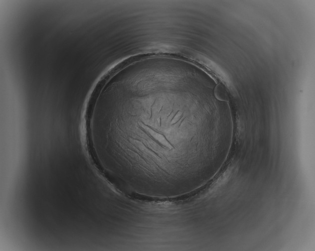 X0000102410784200808011606