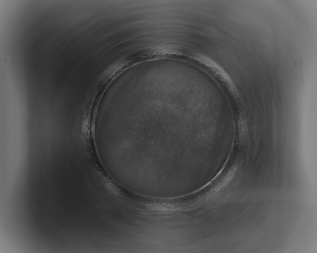 X0000102410785200808011606