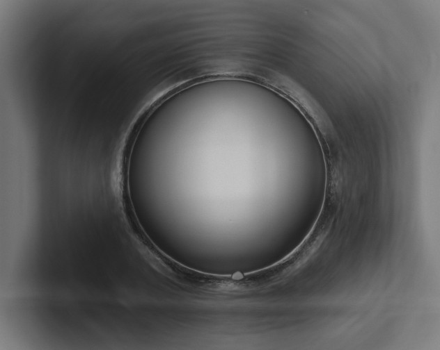 X0000102410787200808011606