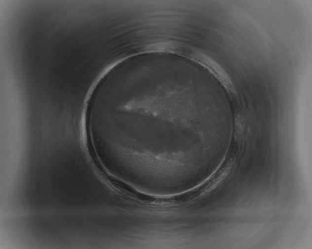 X0000102410788200808011606