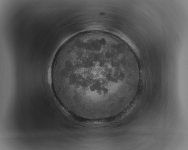 X0000102410791200808011606